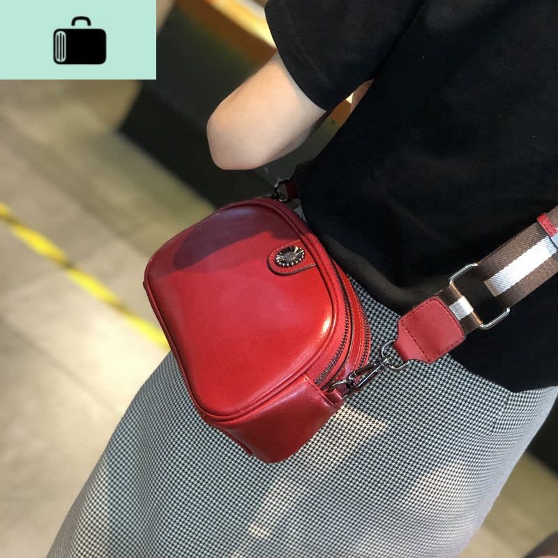 包包女包2020新款夏天时尚洋气单肩斜挎包小包百搭ins潮皮女包NEW LAKE女斜挎包图片