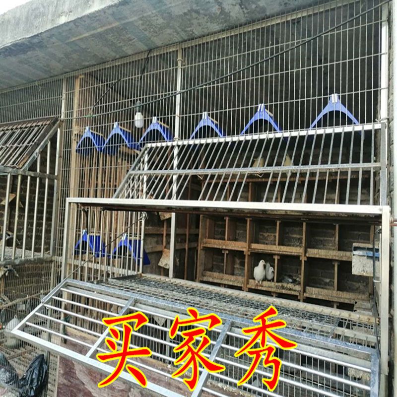 鸽具鸽子栖架站架鸽子用品用具赛鸽信鸽鸽子站架休息架鸽子站台全塑料