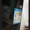 向向锦鲤油烟机出租房小型油烟机家用厨房大吸力小尺寸抽油烟机_710MM体感清洗32系围板上门
