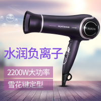 飞科(FLYCO)电吹风 FH6620