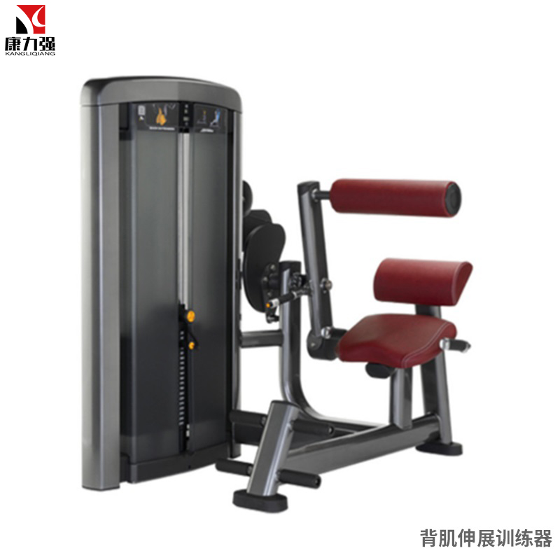 康力强LS519商用坐式背部伸展后压背肌练习肌肉专项训练局部型力量器械高清大图