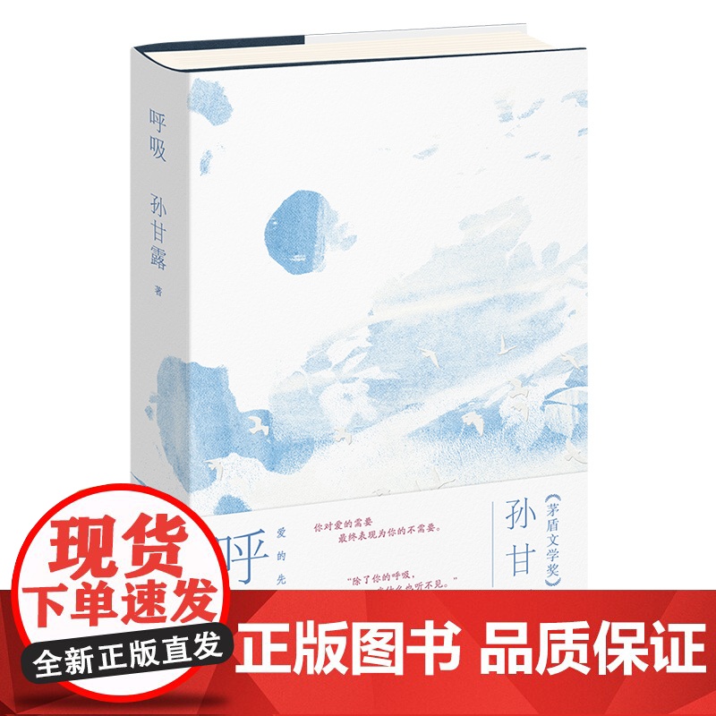 呼吸 孙甘露茅盾文学奖获得者千里江山图作者长篇代表作上海文艺出版社爱的先锋小说正版图书籍 另著随笔集我又听到了郊区的声音高清大图
