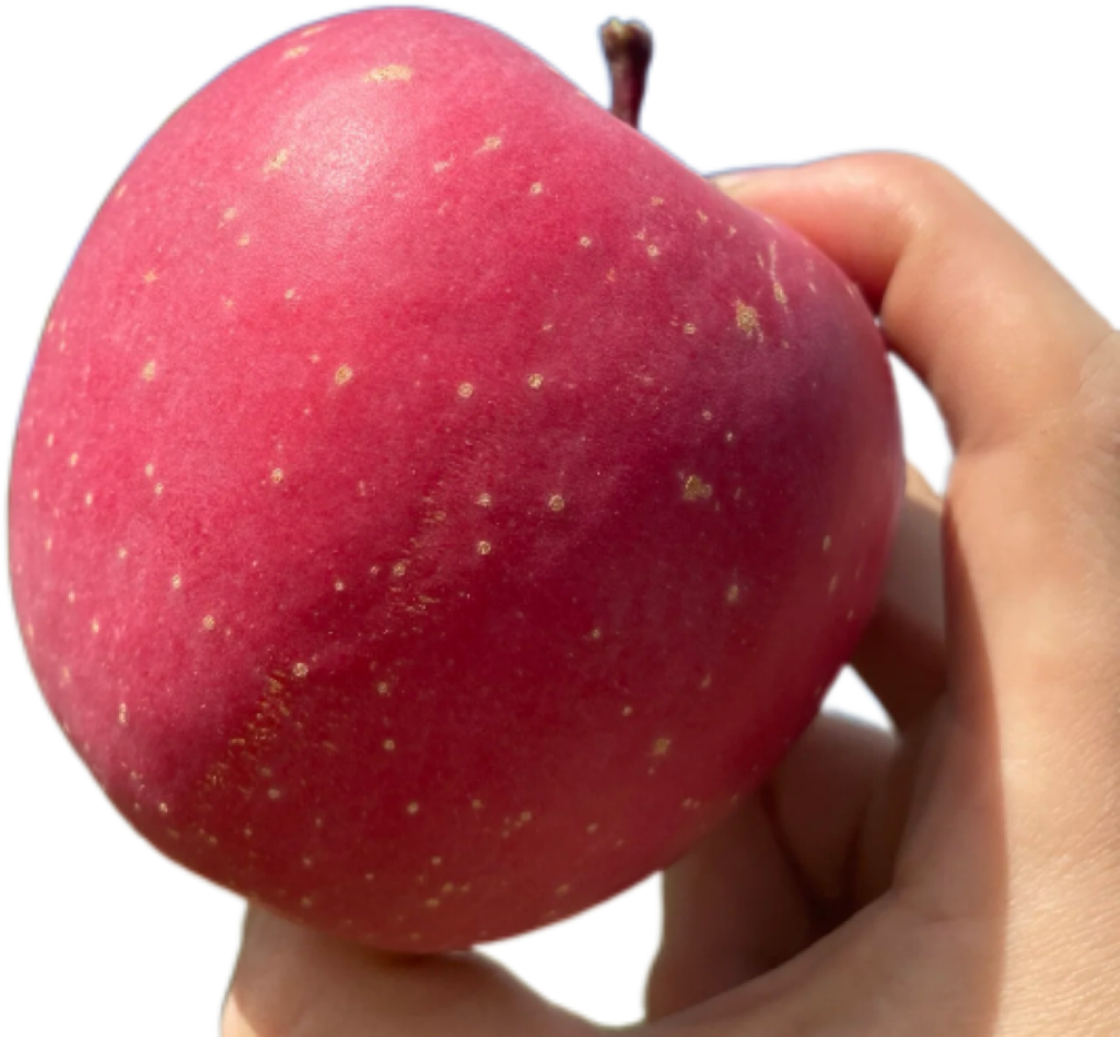 三峡高山果园基地红富士苹果8.5斤中果75-80MM/箱高清大图