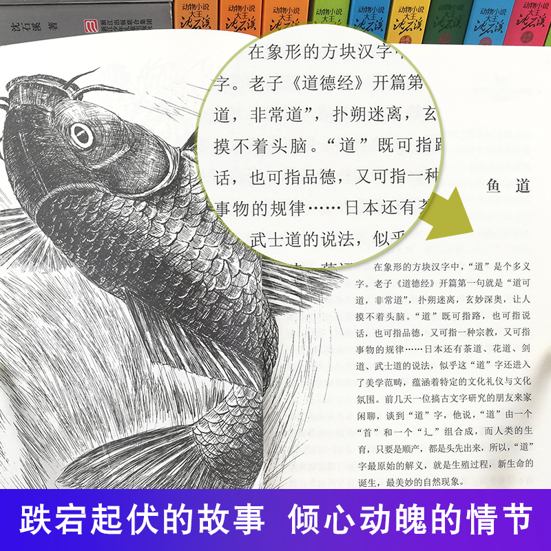 [醉染正版]正版沈石溪动物小说全集书籍套装 白象家族 大鱼之道 牧羊神豹 虎娃金叶子珍藏版儿童文学品藏书系升级版全套非注高清大图