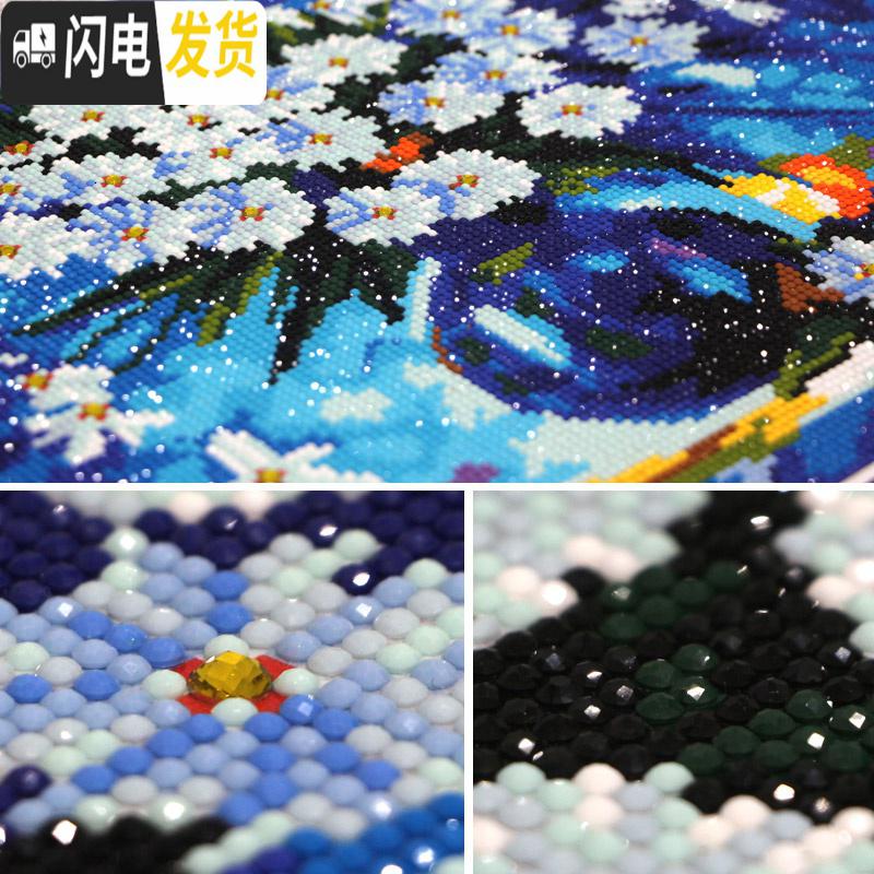 三维工匠2019年新款钻石画客厅满钻清新小件小幅点砖十字绣简单手工自己绣 异形钻、满钻[60*75厘米]送工具包2套高清大图
