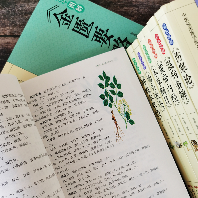 [醉染正版]8册正版彩色图解 伤寒论+黄帝内经+本草纲目+温病条辨+神农本草经+汤头歌诀+千金方中医书籍大全中医理论基础高清大图