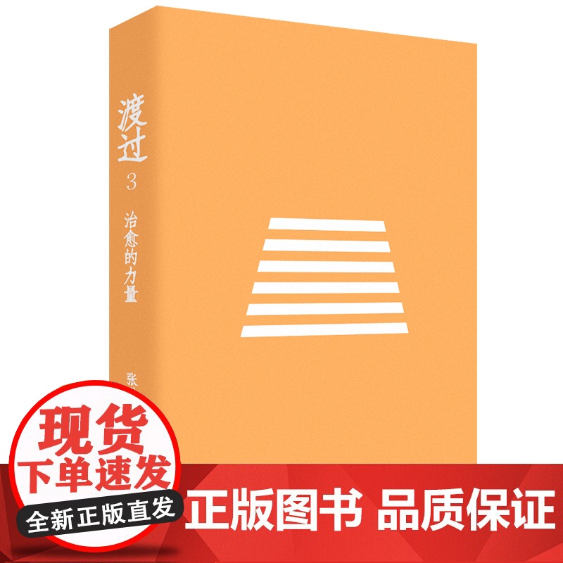 渡过三部曲新版1-3张进 著 准确深刻地了解抑郁症 精神修复自我治愈摆脱抑郁 写给抑郁症人士改变中重生修复精神世界 社会高清大图