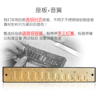 天鹅(Tian E)口琴初学者高级成人儿童24孔专业复音c调口风琴入门自学乐器 抖音