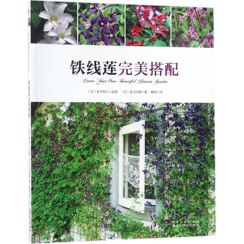 铁线莲完美搭配 (日)及川洋磨 著;陶旭 译 生活 文轩网