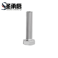圣承启 螺栓M6*50 个