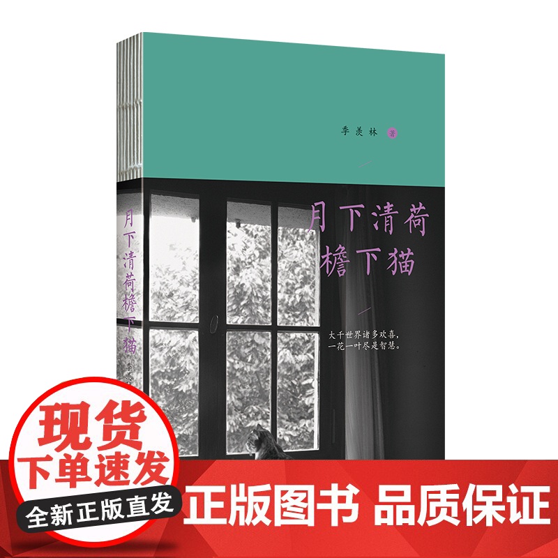 月下清荷檐下猫高清大图