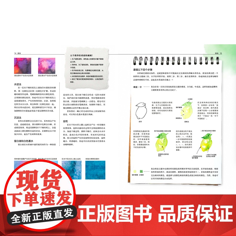 正版 一学就会的4步水彩画 轻松画生活 技法 玛丽娜巴卡索娃 水彩入门实用书籍 上海书画出版社高清大图