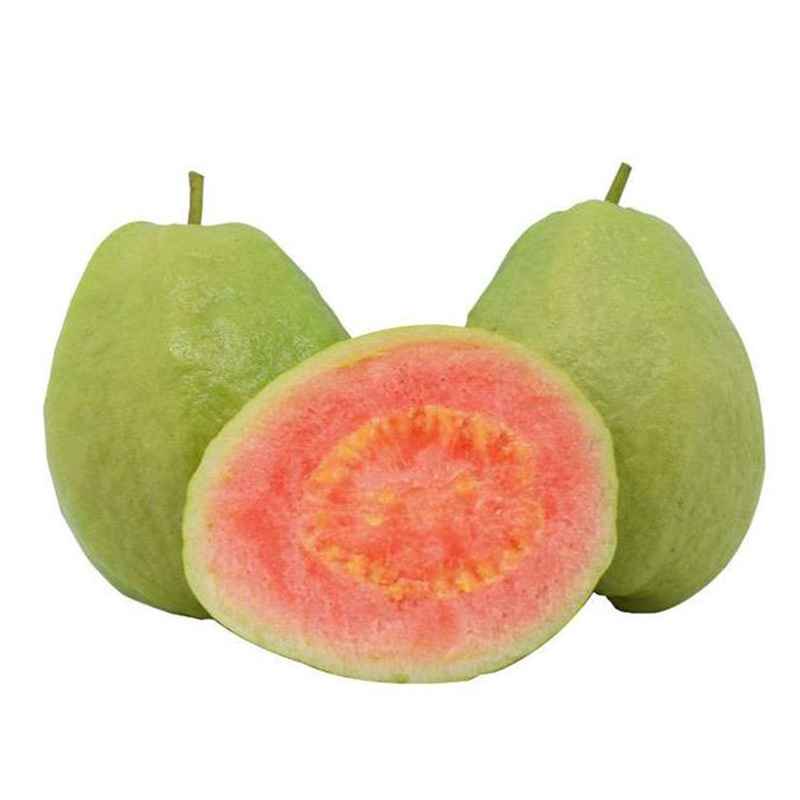 [西沛生鲜]新鲜红心芭乐 番石榴 净重5斤装 新鲜水果 甘甜可口高清大图