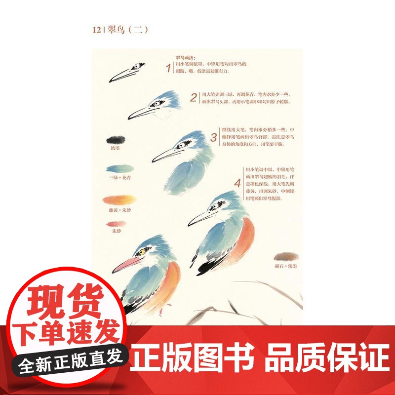 [视频教学]万物有灵 每日一画禽鸟册 小写意花鸟教程鹦鹉 山雀 国画花鸟技法自学入门基础教学 花鸟写意临摹画册高清大图