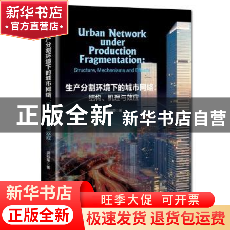 正版 生产分割环境下的城市网络--结构机理与效应 盛科荣著 经济高清大图