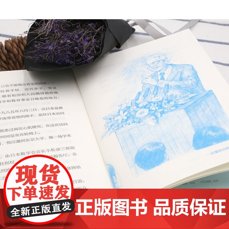 中国科学家华罗庚小杂货铺里走出的大数学家 中华先锋人物故事汇 小学一二三四五六年级课外书必读老师儿童故事书英雄名人传记高清大图