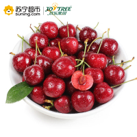 欢乐果园 加拿大进口车厘子 1磅装(约450g) 果径约26-28mm 新鲜水果