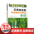 瓜类病虫害快速鉴别与防治妙招 9787122450647 王天元 鲍继胜 肖希田 编 化学工业出版与
