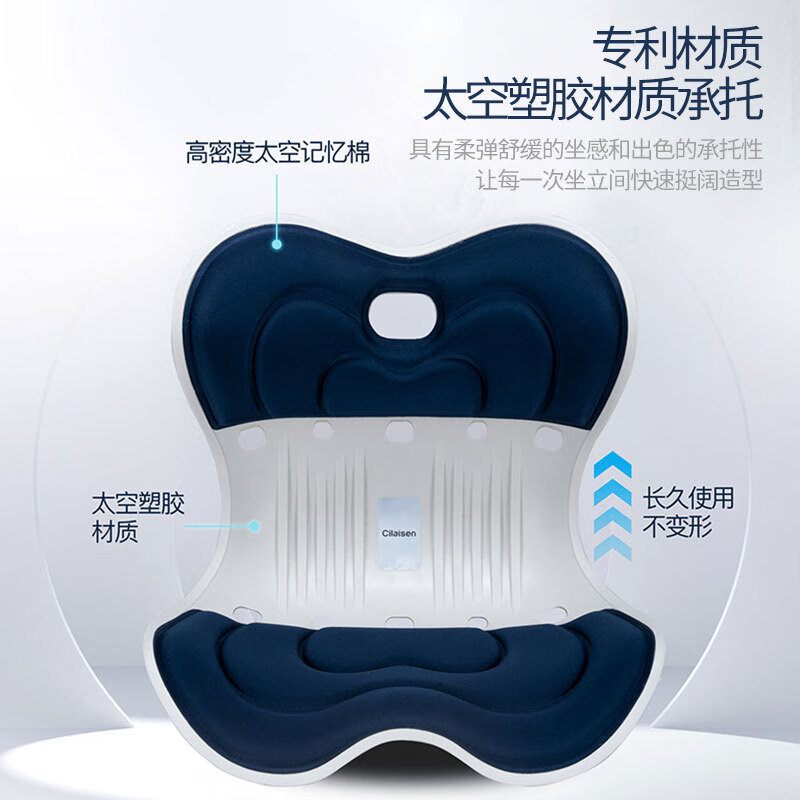 西莱森 护腰坐垫CP-WP1高清大图