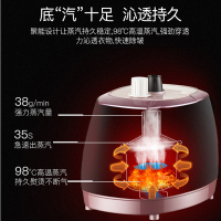 美菱(MELING) 蒸汽挂烫机MG-55 家用2L大容量可拆卸水箱蒸烫机 八档衣物调节熨烫机 手持电熨斗