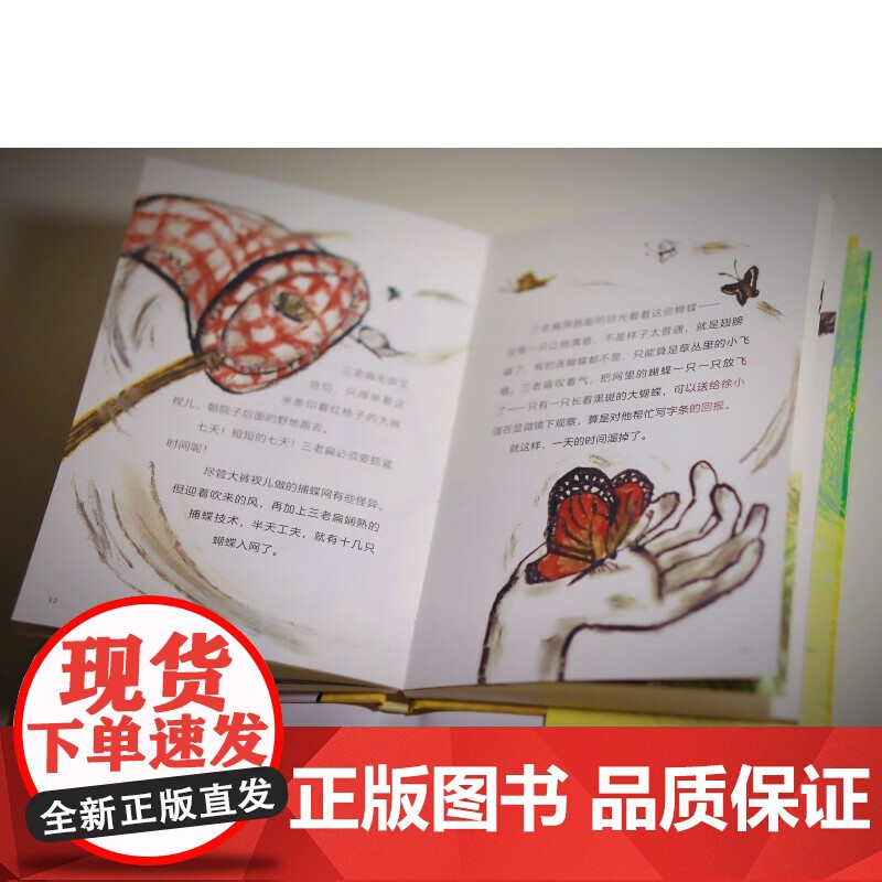 三老扁捉虫记 永远长不大的三老扁3高清大图