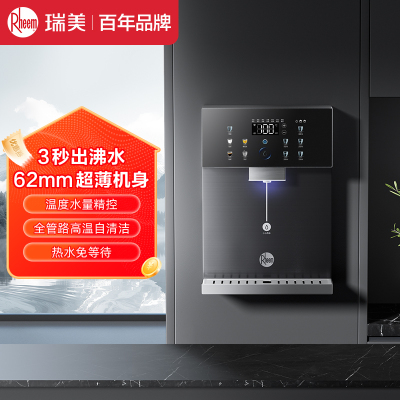 Rheem瑞美壁挂管线机RMGX-25CB-H1