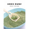 豆腐猫砂6L绿茶无尘结团吸水猫咪用品2.5kg