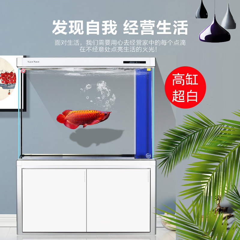 鱼缸大型超白玻璃水族箱客厅免换水生态缸底滤龙鱼缸小型家用高清大图