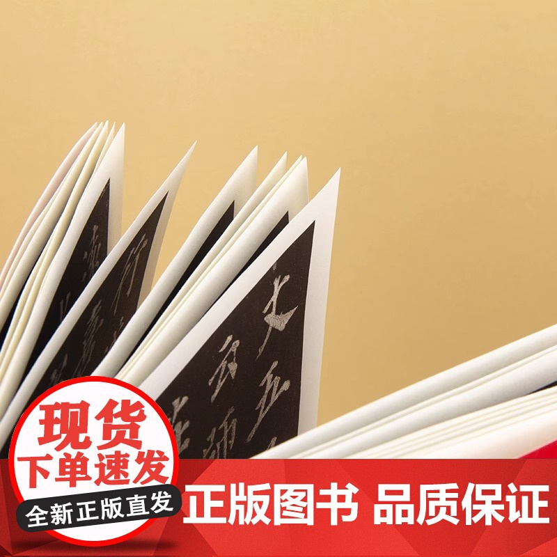 中国历代名碑名帖精选 颜真卿多宝塔碑 中国碑帖名品颜体楷书毛笔字帖书法临摹古帖宋拓本正版书籍颜体楷书毛笔字帖书法临摹临帖高清大图