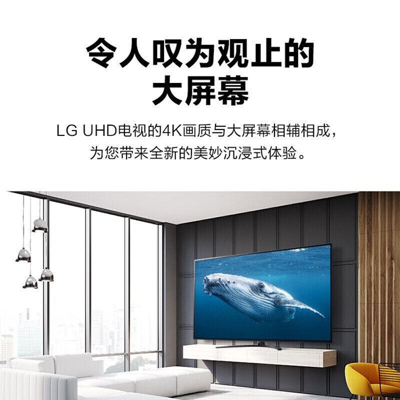 LG 75NANO86CPA 75英寸电视机 超薄全面屏平板 4K超高清 HDR 海量教育资源 劲爽体验 游戏电视推荐高清大图