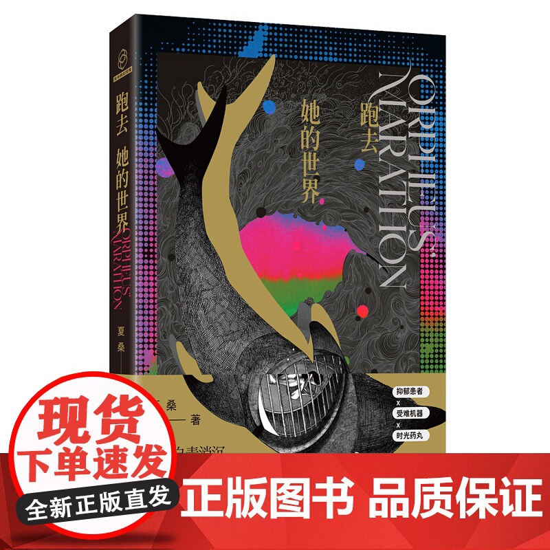 2024豆瓣年度书单]跑去她的世界 夏桑著 一场马拉松引发的都市幻想 一名内耗者的自毁和自救 抑郁患者受难机器时光药丸幻高清大图