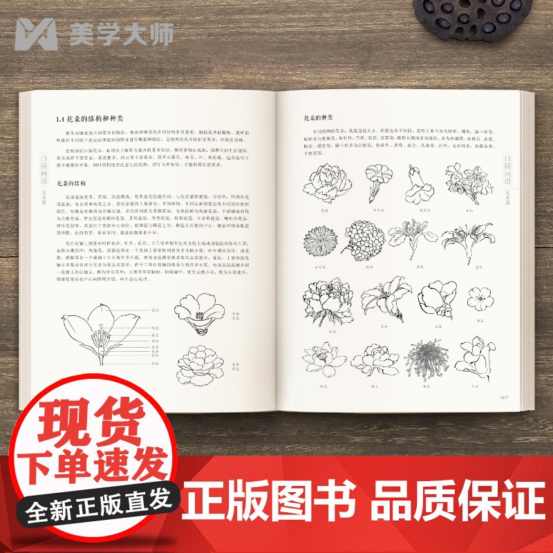 2022新书 白描画谱 花卉篇 中国工笔技法画册集书籍入门初自学者零基础教程材成人手绘临摹勾线名家底稿图大全美术绘画高清大图