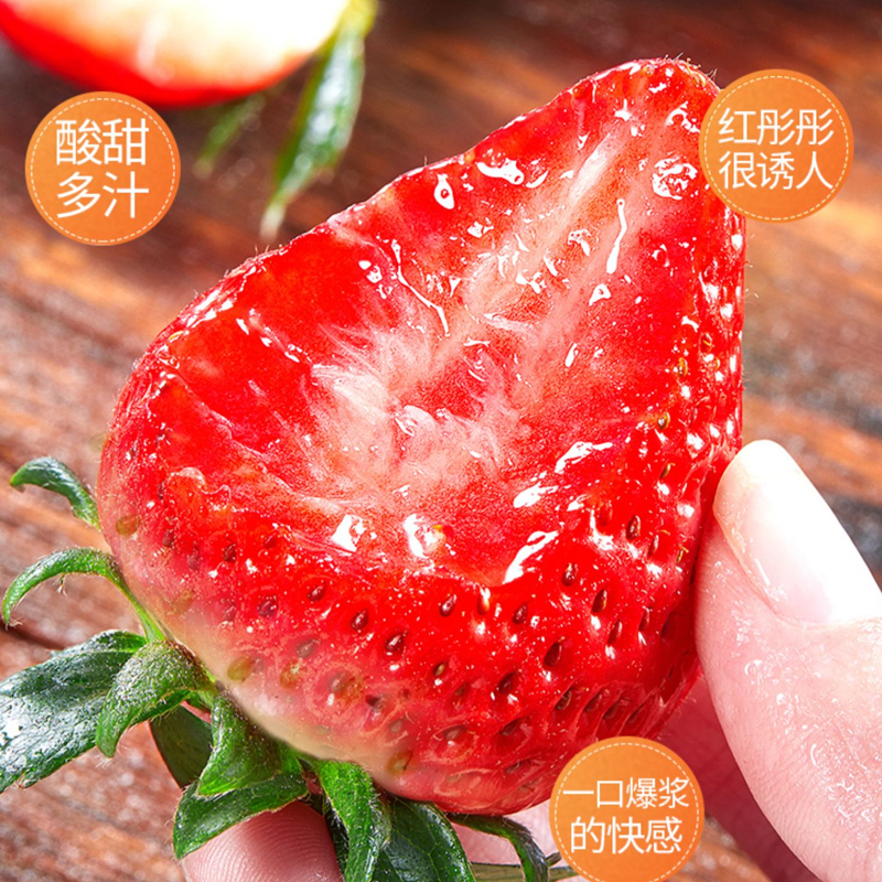 [西沛生鲜]顺丰快递 辽宁丹东99牛奶草莓 中果 净重2.6斤 52颗左右 新鲜当季水果红颜奶油草莓