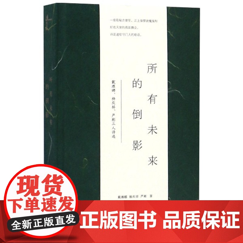 新民说 所有未来的倒影:戴潍娜、杨庆祥、严彬三人诗选 广西师范大学出版社