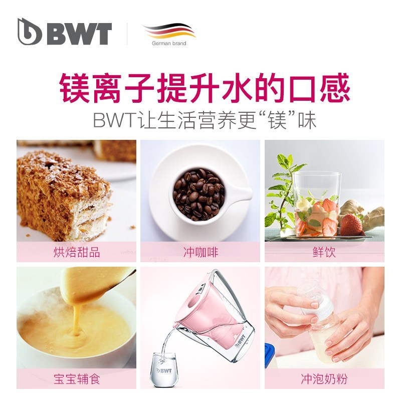 德国BWT净水壶净水器过滤水壶家用进口镁离子活力款滤芯 1壶13芯