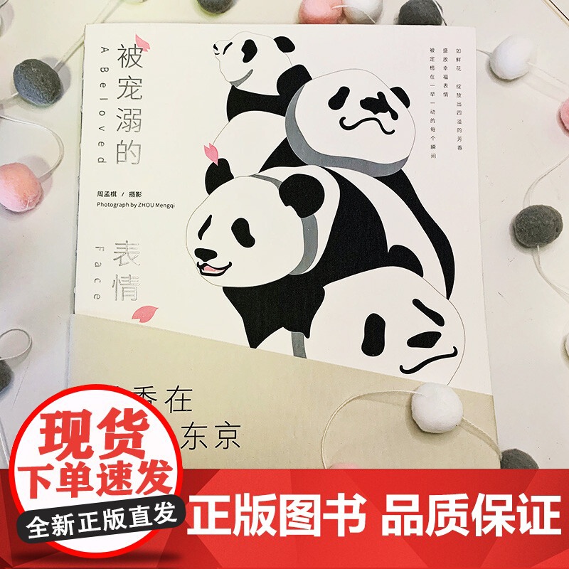 被宠溺的表情 周孟棋 著 童书香香在东京高清大图