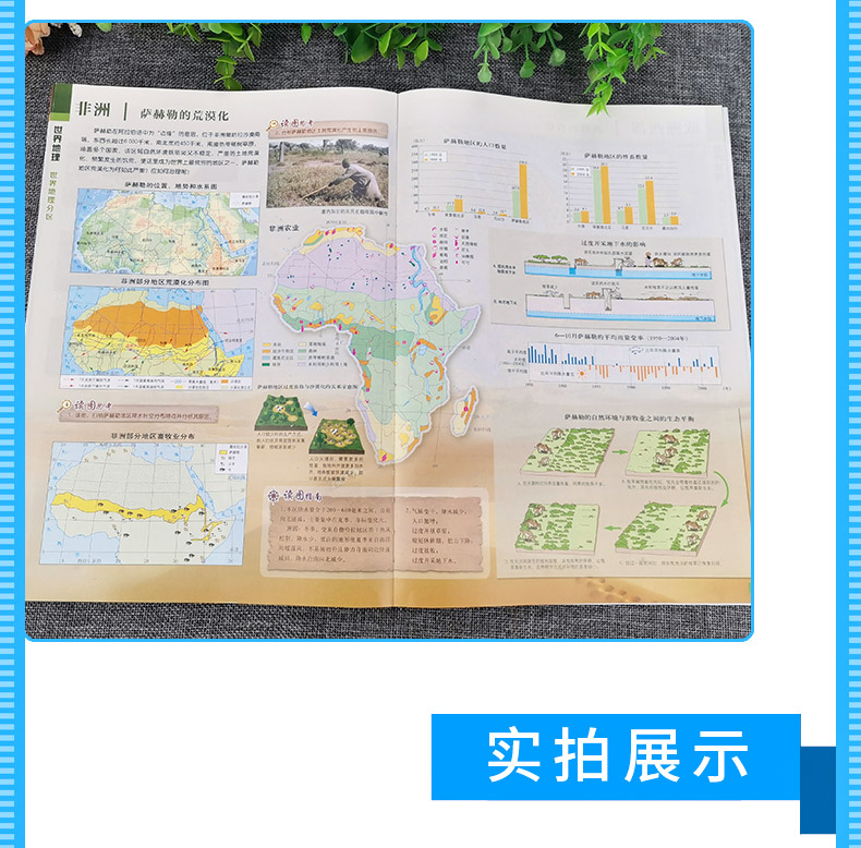 地理 高中通用 [正版]新版 中学地理复习 考试地图册思维图解版 高考/中考/成人高考教辅系列 哈尔滨地图出版社 高中地高清大图