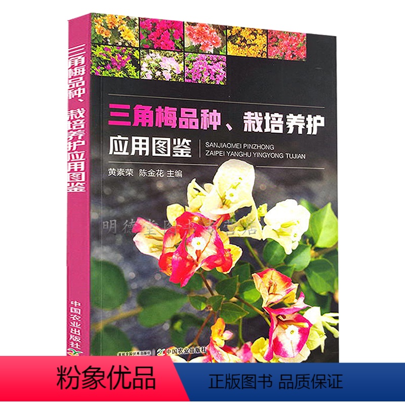 【正版】三角梅品种栽培养护应用图鉴 三角梅光叶子花和叶子花园艺养护栽培与鉴赏书籍