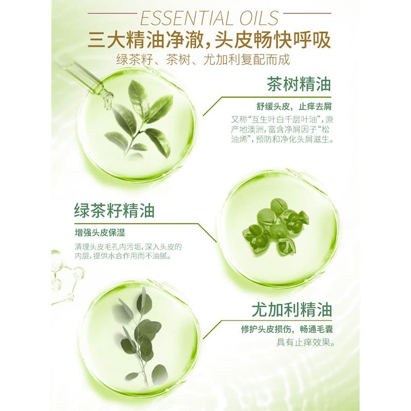 舒蕾洗发水男女士无硅油去屑控油修护改善毛躁洗发露洗头膏 绿茶籽控油洗发露800ml图片