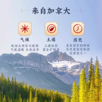 雷允上西洋参0.8g圆粒100g/盒加拿大进口
