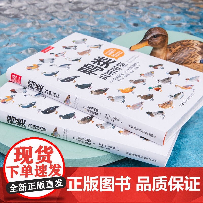 [下架召回]鸭类识别图鉴 氏原巨雄等 著 科普读物高清大图
