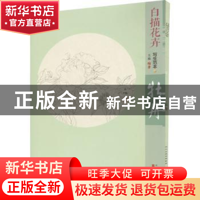 正版 白描花卉写生范本-牡丹 河北美术出版社 河北美术出版社 978高清大图