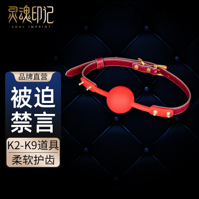 灵魂印记情趣用品SM道具调教乳夹口球成人夫妻共用性爱惩罚口塞