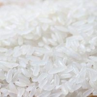 禾园常东北大米龙凤山泉稻花香 5kg