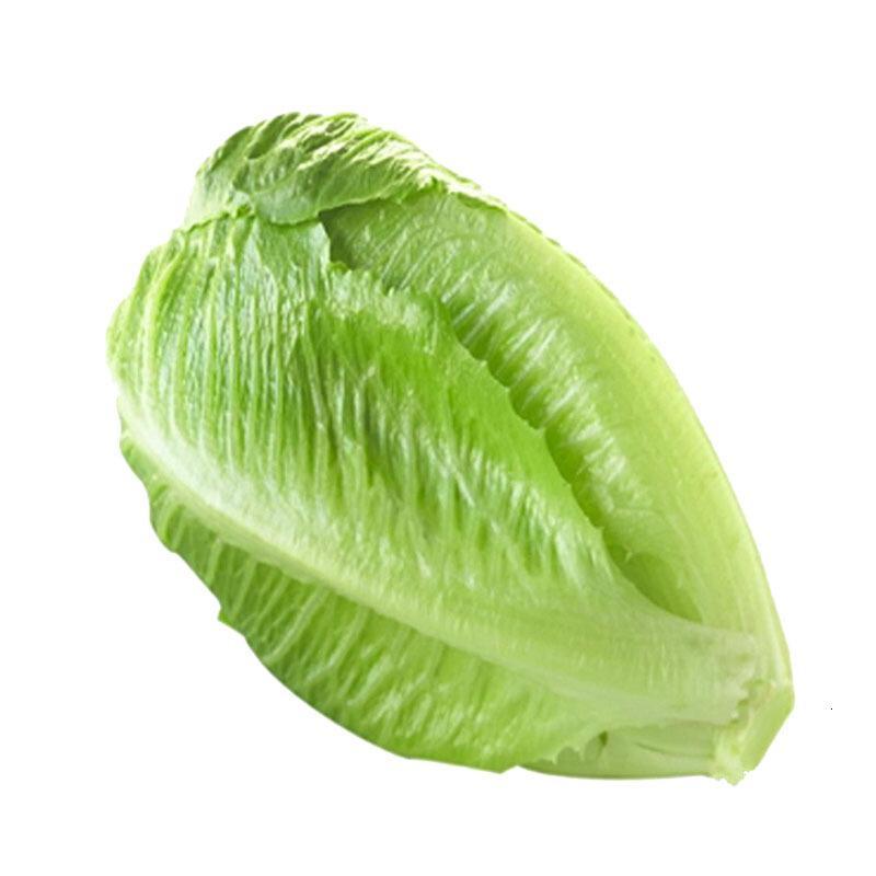 罗马生菜500g罗纹沙拉菜新鲜蔬菜as