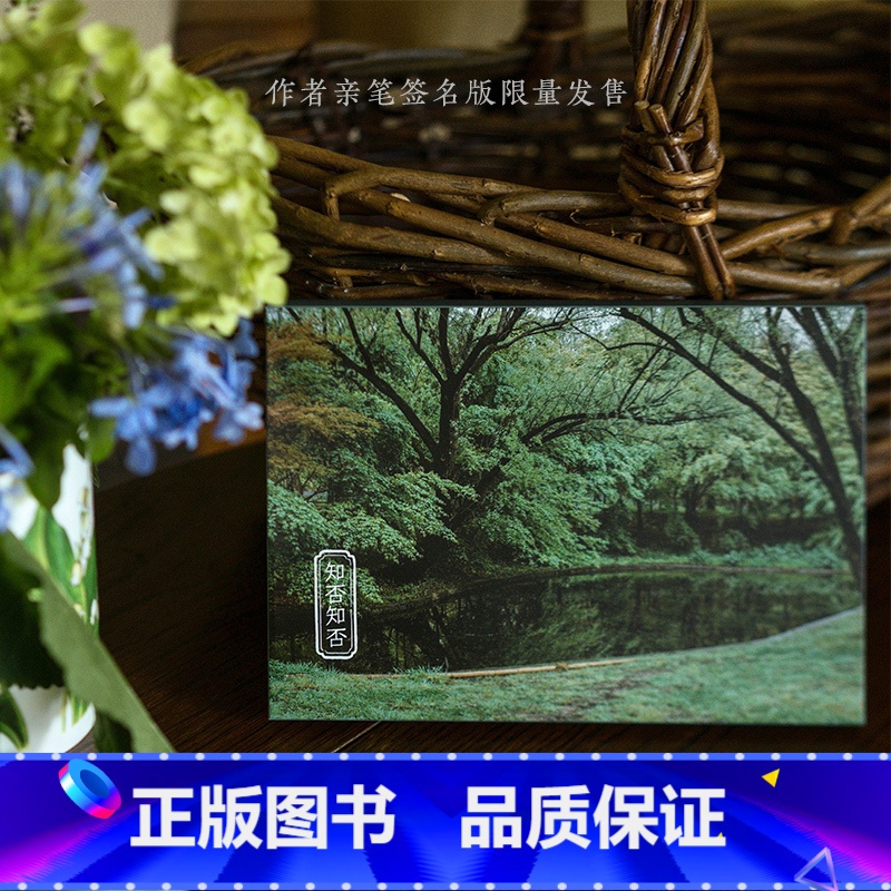 【正版】知否知否 摄影师@一只羊阿姨摄影作品 大自然中绿色系景象和事物 出类艺术明信片创意唯美风景文艺小清新贺卡插画集