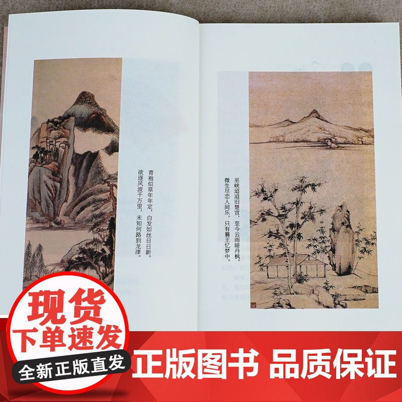 苏东坡传李白诗集辛弃疾苏东坡柳永李商隐词传中国古诗词大全 中国文学古诗词绝美古诗历史名人物传记李白辛弃疾诗词鉴赏赏析高清大图
