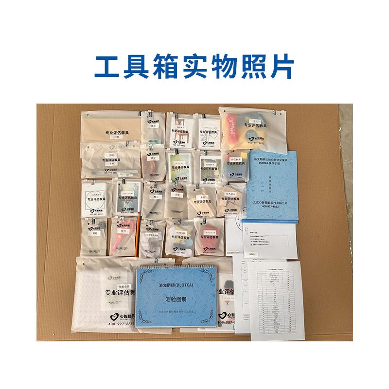 尚智慧童SZHT-LOTCA02 洛文斯顿(LOTCA)认知评估软件工具箱早教教具高清大图
