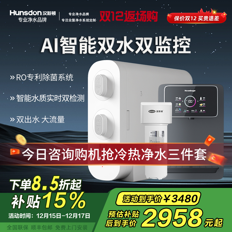 汉斯顿净水器家用直饮厨房无桶大流量500G双出水净水机ro纯水C2