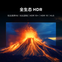 雷鸟 鹏7 25款 65英寸 144Hz高刷 家电国家补贴 4+64GB 超薄液晶平板电视机65S385C Pro-JN